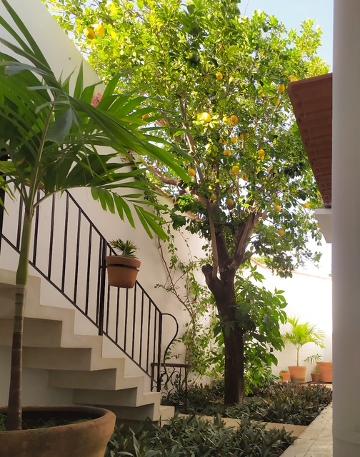 CASA EN RENTA EN MERIDA