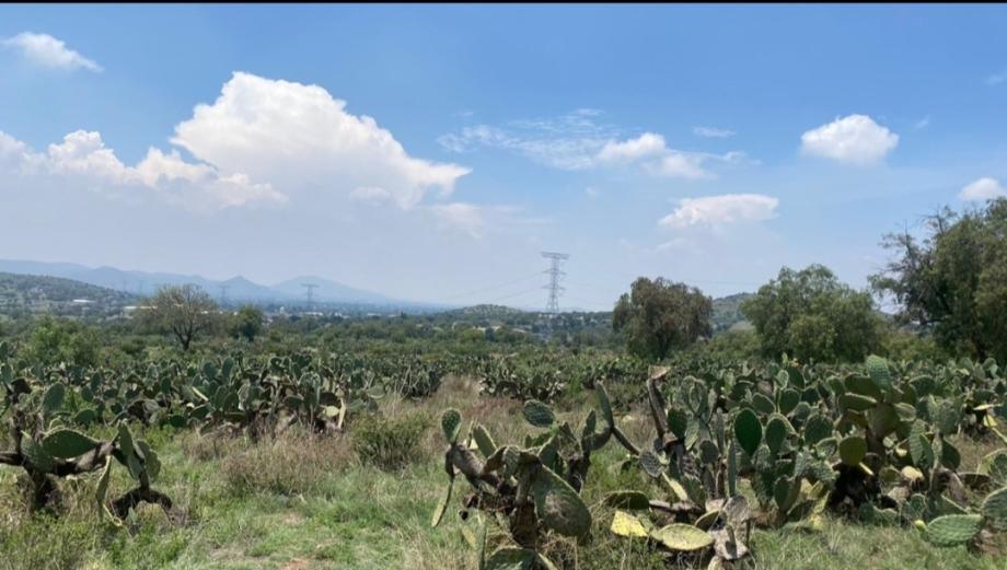 Imagen de terreno en venta en teotihuacan de arista centro, teotihuacán, estado de méxico