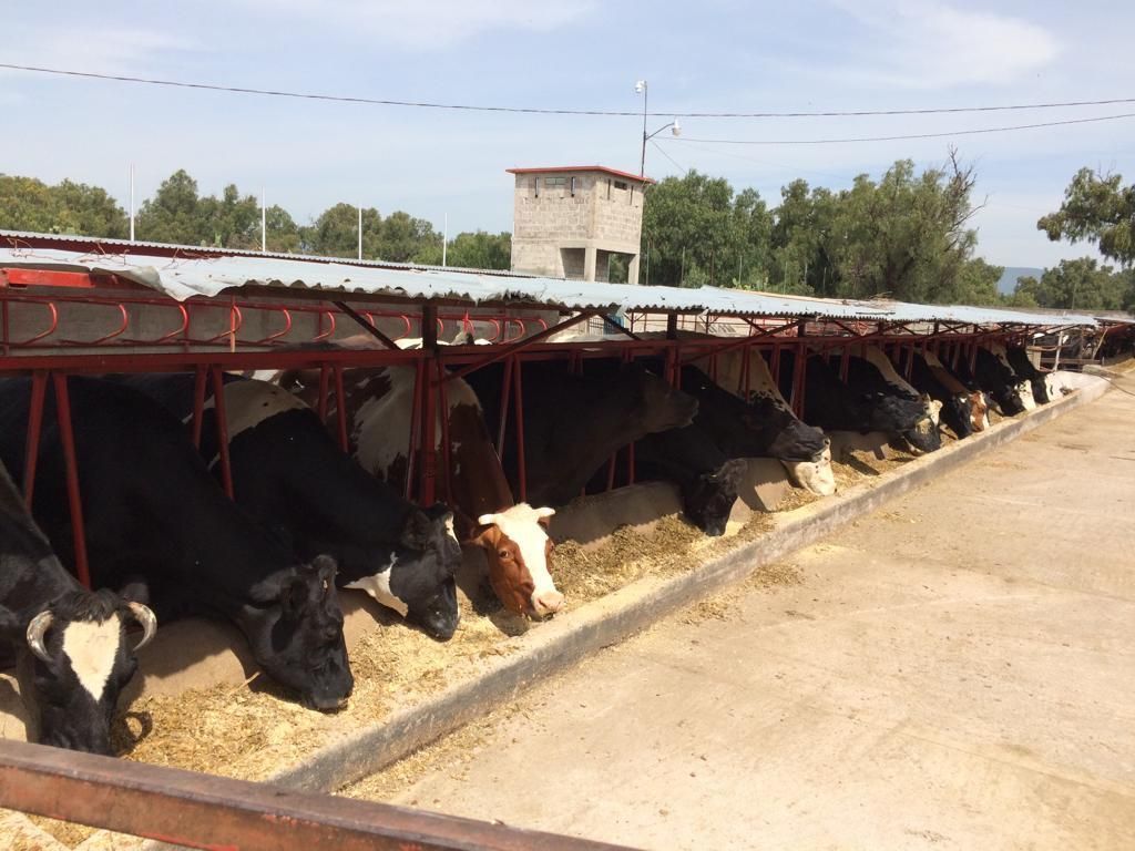 Terreno en Venta, Tepeapulco, Hgo.