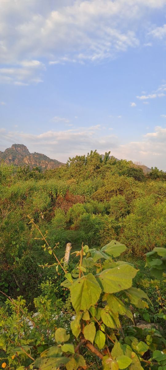 Terreno semiplano con excelente vista la Tepozteco