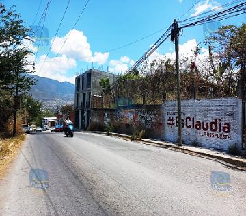 TERRENO COMERCIAL EN RENTA