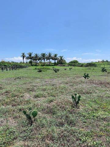 Terreno Beach Front en Puertecito