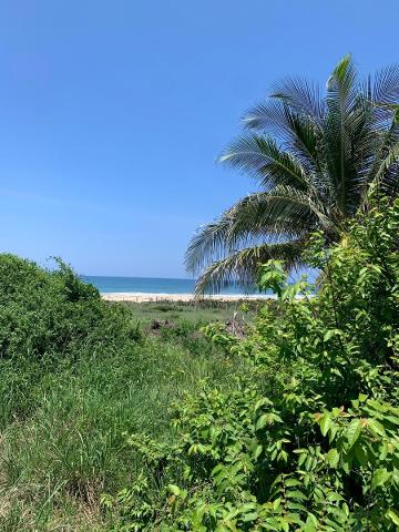 Terreno Beach Front en Puertecito