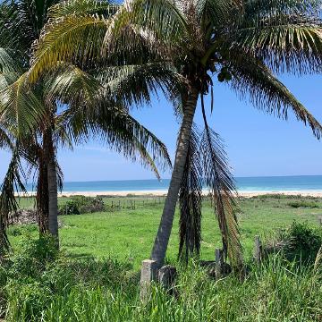 Terreno Beach Front en Puertecito