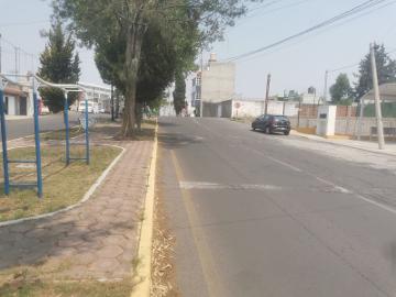 Terreno en renta ubicado en Apizaco, Tlaxcala