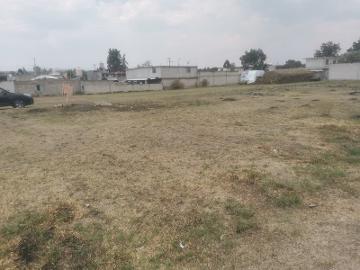 VENTA DE TERRENO EN TEXCALAC APIZACO, TLAXCALA