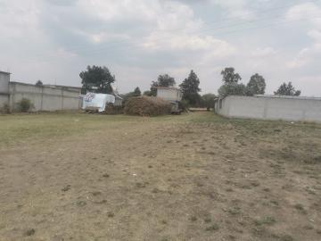 VENTA DE TERRENO EN TEXCALAC APIZACO, TLAXCALA