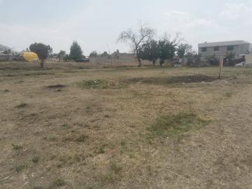 VENTA DE TERRENO EN TEXCALAC APIZACO, TLAXCALA