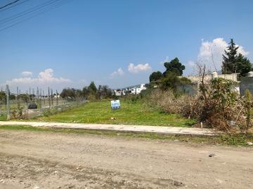 Terreno de 825m en zona céntrica de Panotla, Tlax.