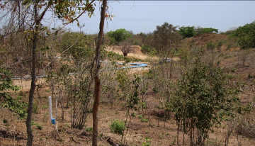 Terreno Mazunte, Oaxaca