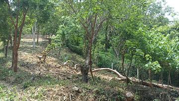 VENTA TERRENO de 495m² Playa Estacahuite