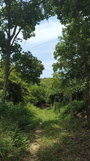 VENTA TERRENO de 495m² Playa Estacahuite