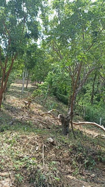 VENTA TERRENO de 495m² Playa Estacahuite