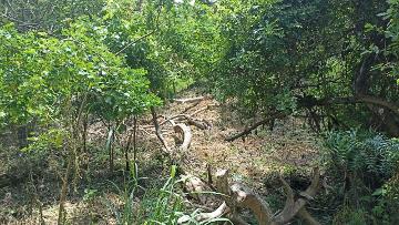 VENTA TERRENO de 495m² Playa Estacahuite