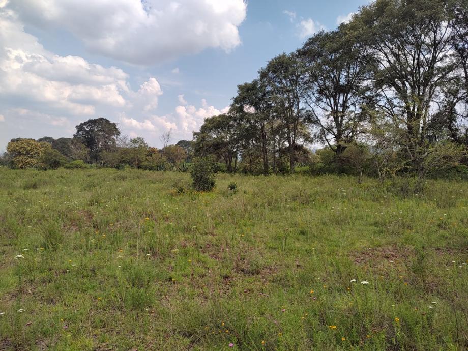 Imagen de terreno en venta en agua escondida, jilotepec, estado de méxico