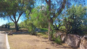 Terreno en Venta Country Club & Náutica, Tepejí de