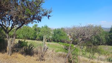 Terreno en Venta Country Club & Náutica, Tepejí de