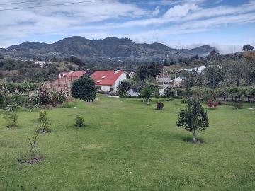 Iglesia / Templo en Héroes del Cinco de Mayo, Zaca