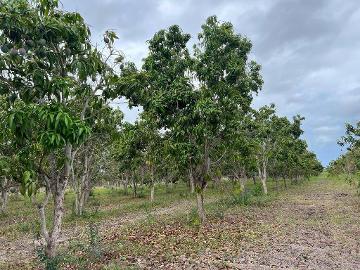 VENTA DE TERRENO EN ACAPONETA, NAYARIT 40 Ha