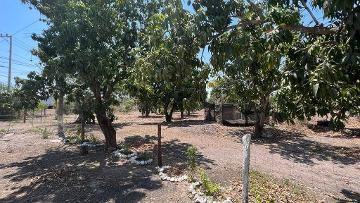 Venta de Huertas de Mango en Acaponeta. Nayarit