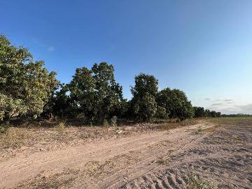 VENTA DE TERRENO EN TECUALA NAYARIT, 22 HECTÁREAS