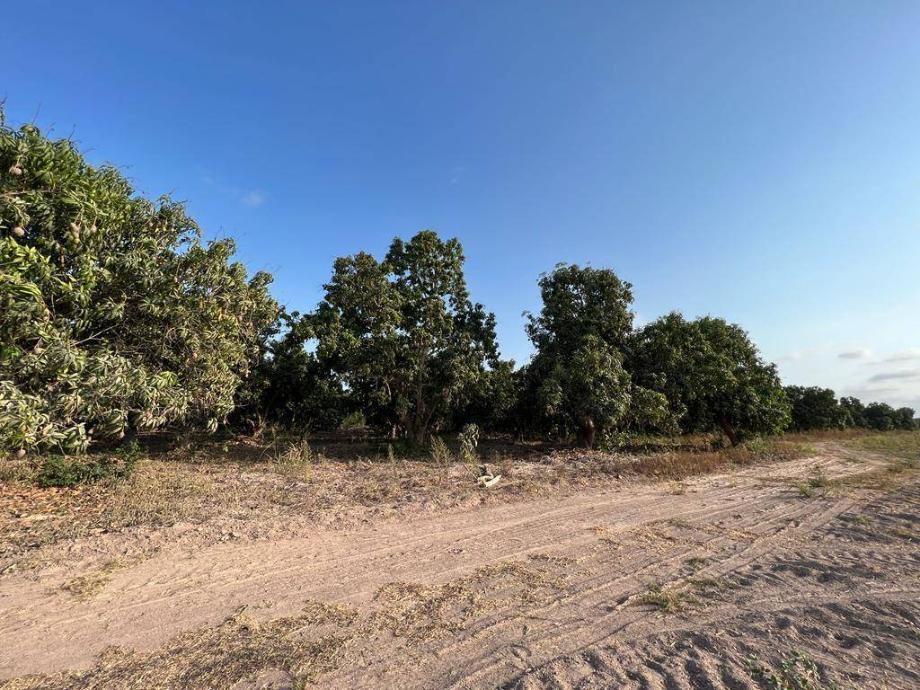 Imagen de terreno en venta en sin colonia, tecuala, nayarit