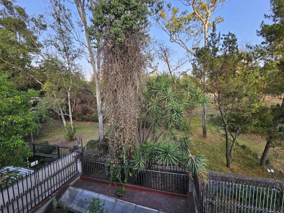 Imagen de casa en renta o venta en lomas virreyes, miguel hidalgo, ciudad de méxico
