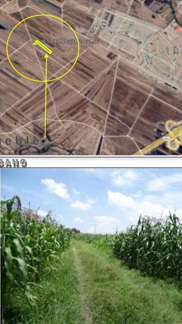 TERRENO EN VENTA EN OCOYUCAN, PUEBLA