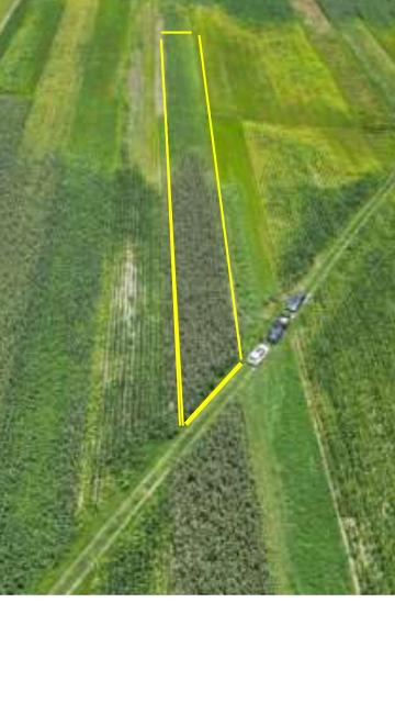 TERRENO EN VENTA EN OCOYUCAN, PUEBLA