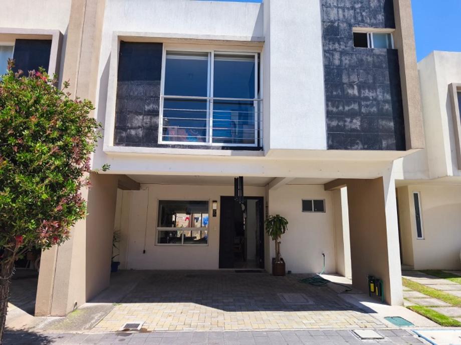 Imagen de casa en renta en san mateo otzacatipan, toluca, estado de méxico