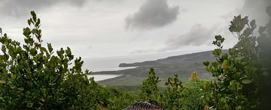 Imagen de terreno en venta en sin colonia, el llano, nayarit