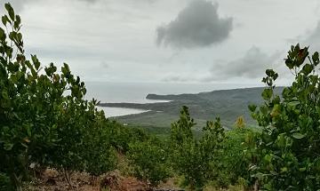 Terreno en producción de Yaka con vista al mar