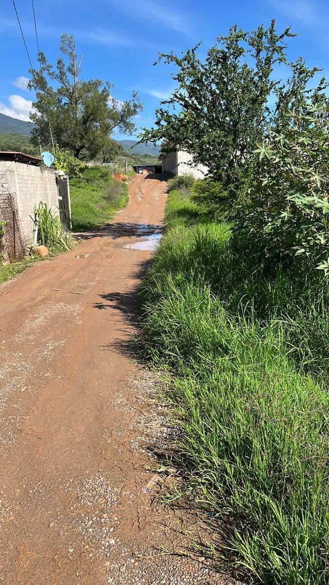 Terreno en Venta / Los Pinos, Petaquillas - Chilpancingo, Gro.