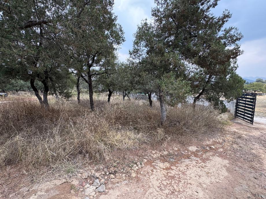 Imagen de terreno en venta en de gómez, tetla de la solidaridad, tlaxcala