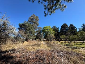 ¡Se vende terreno en San Diego Metepec, Tlaxcala!