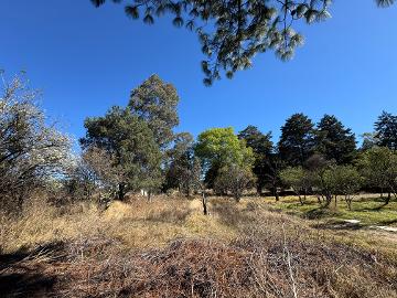 ¡Se vende terreno en San Diego Metepec, Tlaxcala!