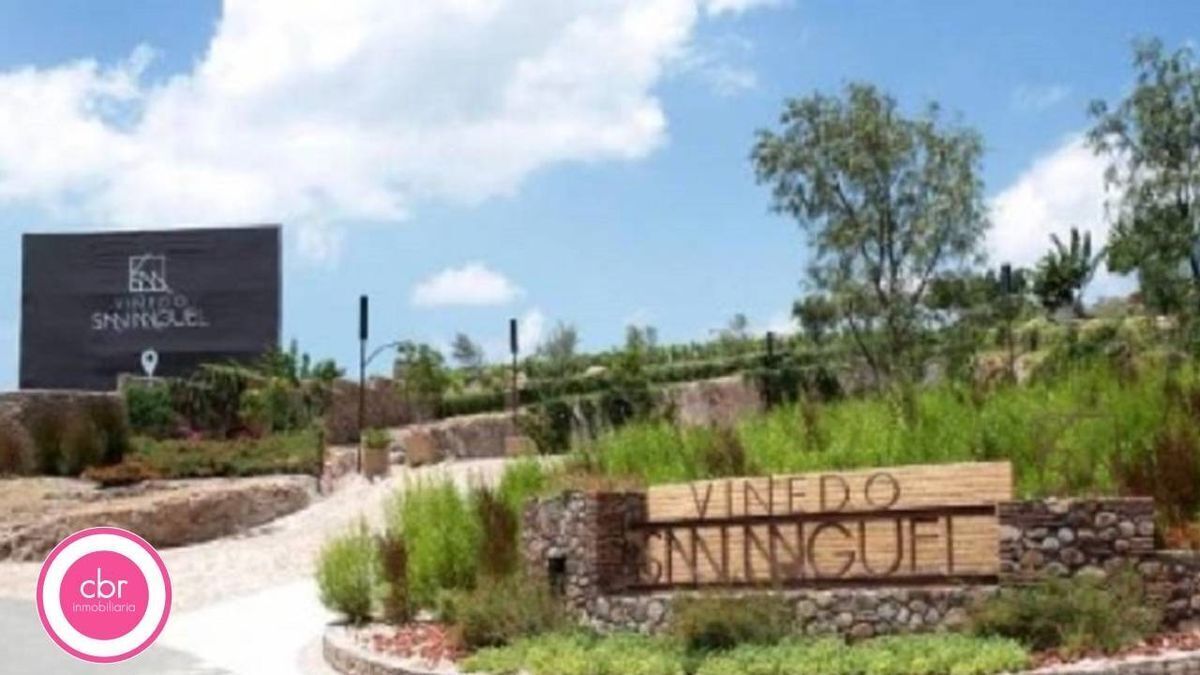 Viñedo San Miguel