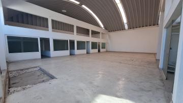 ESPACIOSA BODEGA EN VENTA