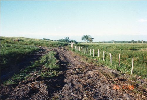 Terreno Carretera Escarcega Chetumal Km. 165, entre Campeche y Chetumal