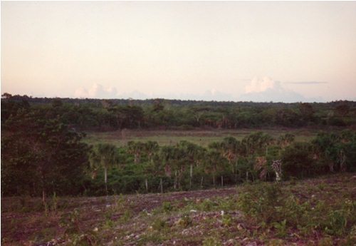 Terreno Carretera Escarcega Chetumal Km. 165, entre Campeche y Chetumal