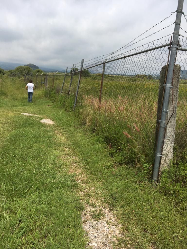 Terreno en venta en Morelos Tlayacapan