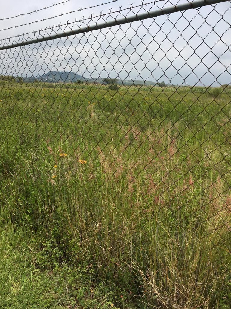 Terreno en venta en Morelos Tlayacapan