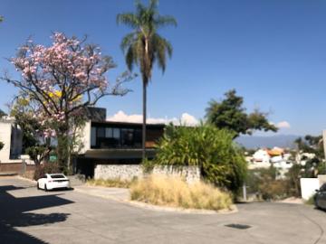 Casa moderna en renta Palmira Cuernavaca