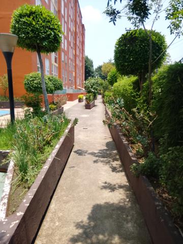 TACUBA DEPARTAMENTO EN RENTA