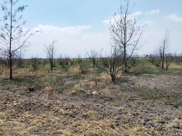 ¡Oportunidad Única de Inversión en Texcoco!