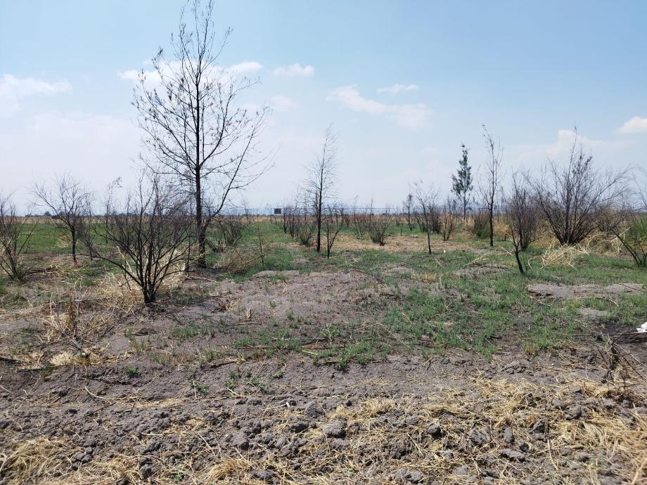 Imagen de terreno en renta en san bernardino, texcoco, estado de méxico