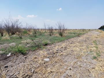 ¡Oportunidad Única de Inversión en Texcoco!