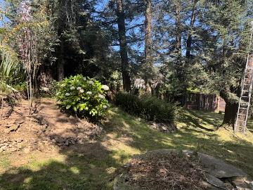 Terreno en Renta Adaptado Para Hotel de Perros