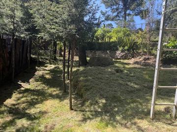 Terreno en Renta Adaptado Para Hotel de Perros