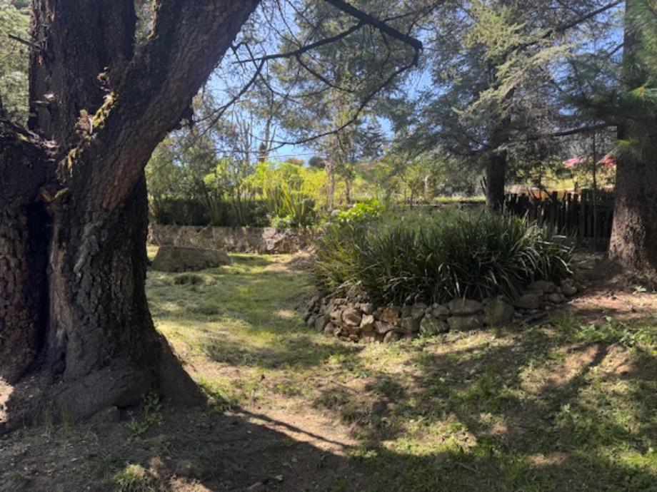 Imagen de terreno en renta en santo tomas ajusco, tlalpan, ciudad de méxico